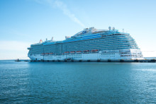 Cruise ships' agency